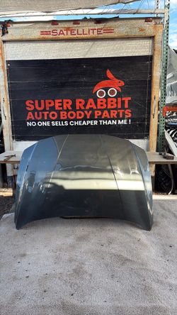 2021 Elantra Hood OEM 2026