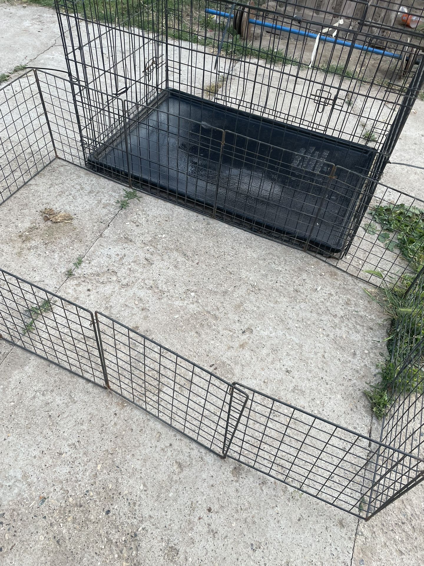 2 dog cages condition is Still good has a little rust Made of metal for a big dog and a puppy 20 for one 40 for both