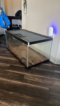 50 Gallon Reptile/Lizard Tank or Gish tank.