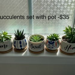 Set Of 5 Succulents With Pot 