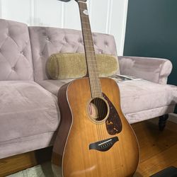 Acoustic guitar