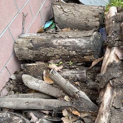 FREE Firewood