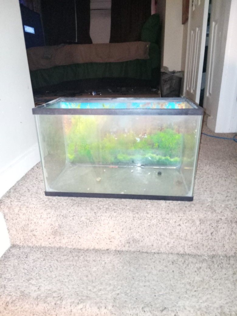 Small Corner Fish Tank