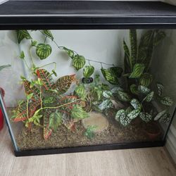 $65  Medium Sized Terrarium Fish Tank 