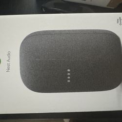 Google nest audio 