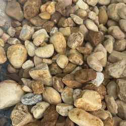 Brown River Rock - Yard