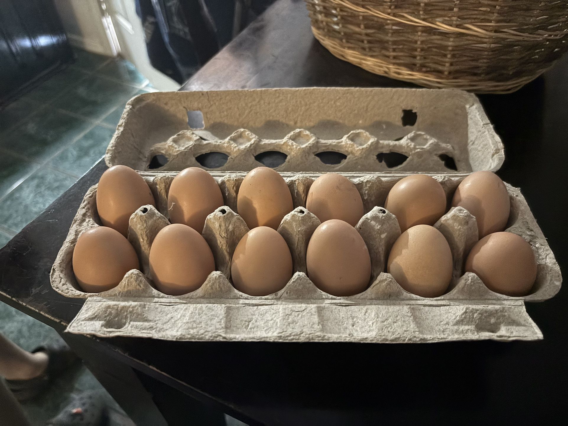 Eggs 🥚 