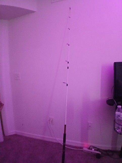 6 Foot Fishing Pole Black N White Ugly Stick