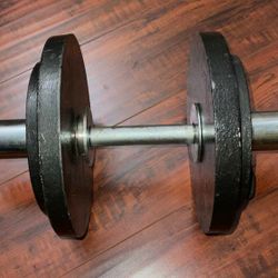 Dumbbell 30lbs