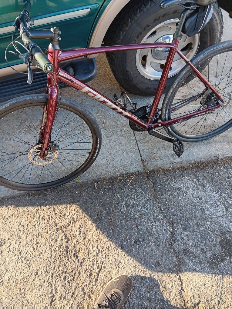 GIANT Escape Series 2 Disc Brakes