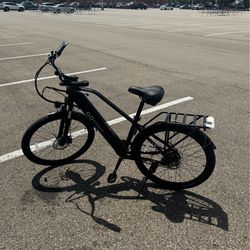 GoPower Adult Electric Bike