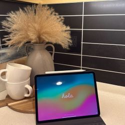 iPad Pro 11 Inch 64GB (2019 Model)