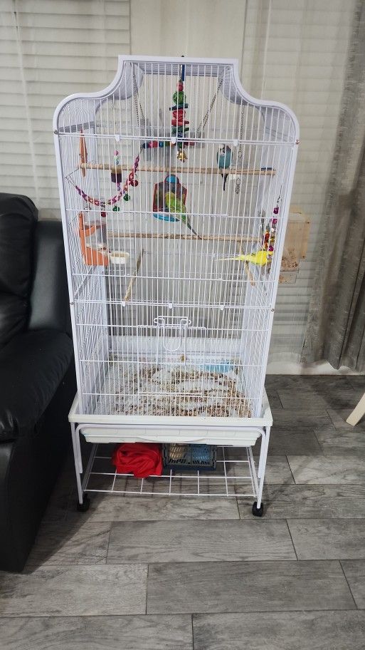 Budgie Bird Cage For Sale