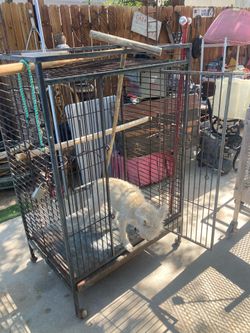 Vintage iron parrot cage