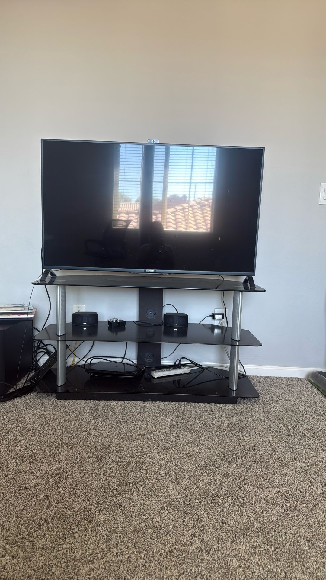 TV With Stand 