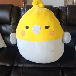 Xl Plushy