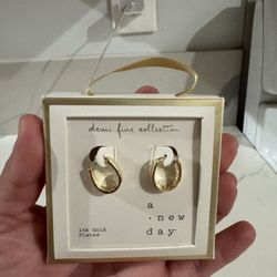 14k Gold Plated Earrings 