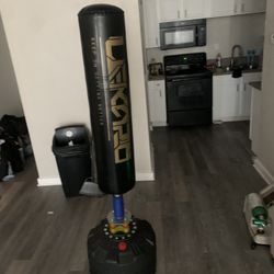 Punching bag