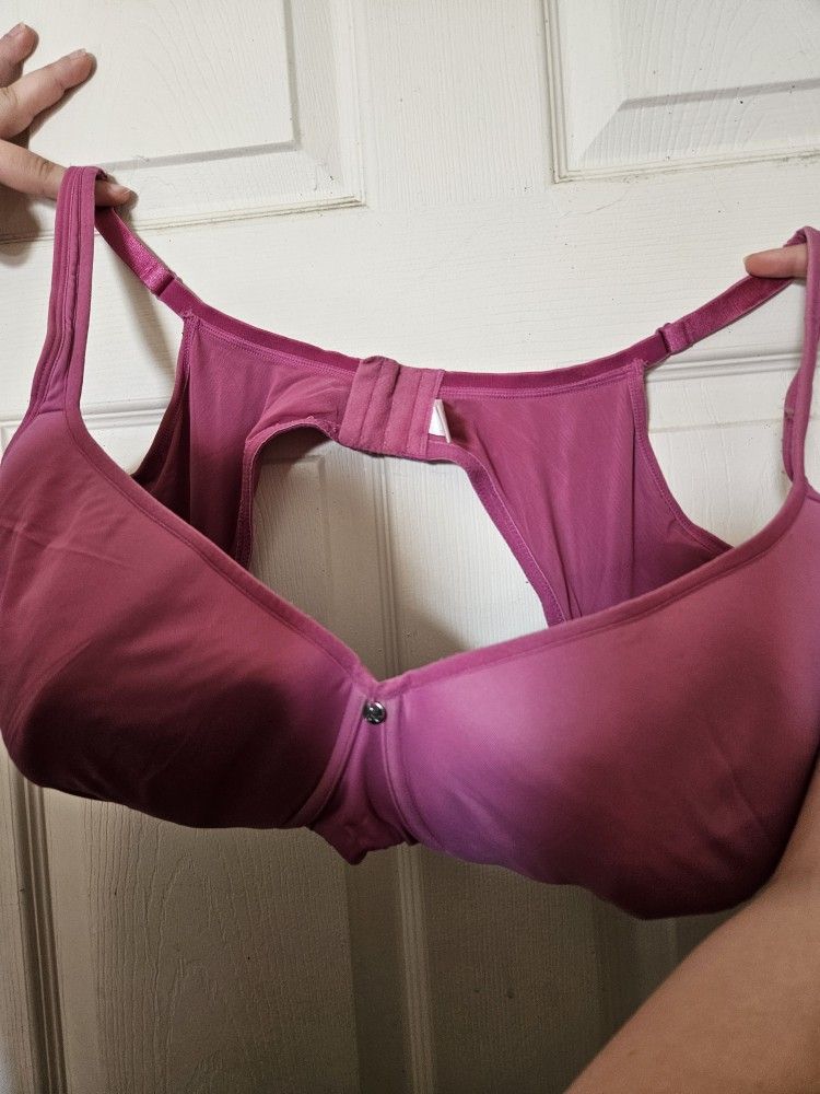 Ebw Pink Wired Bra 42h