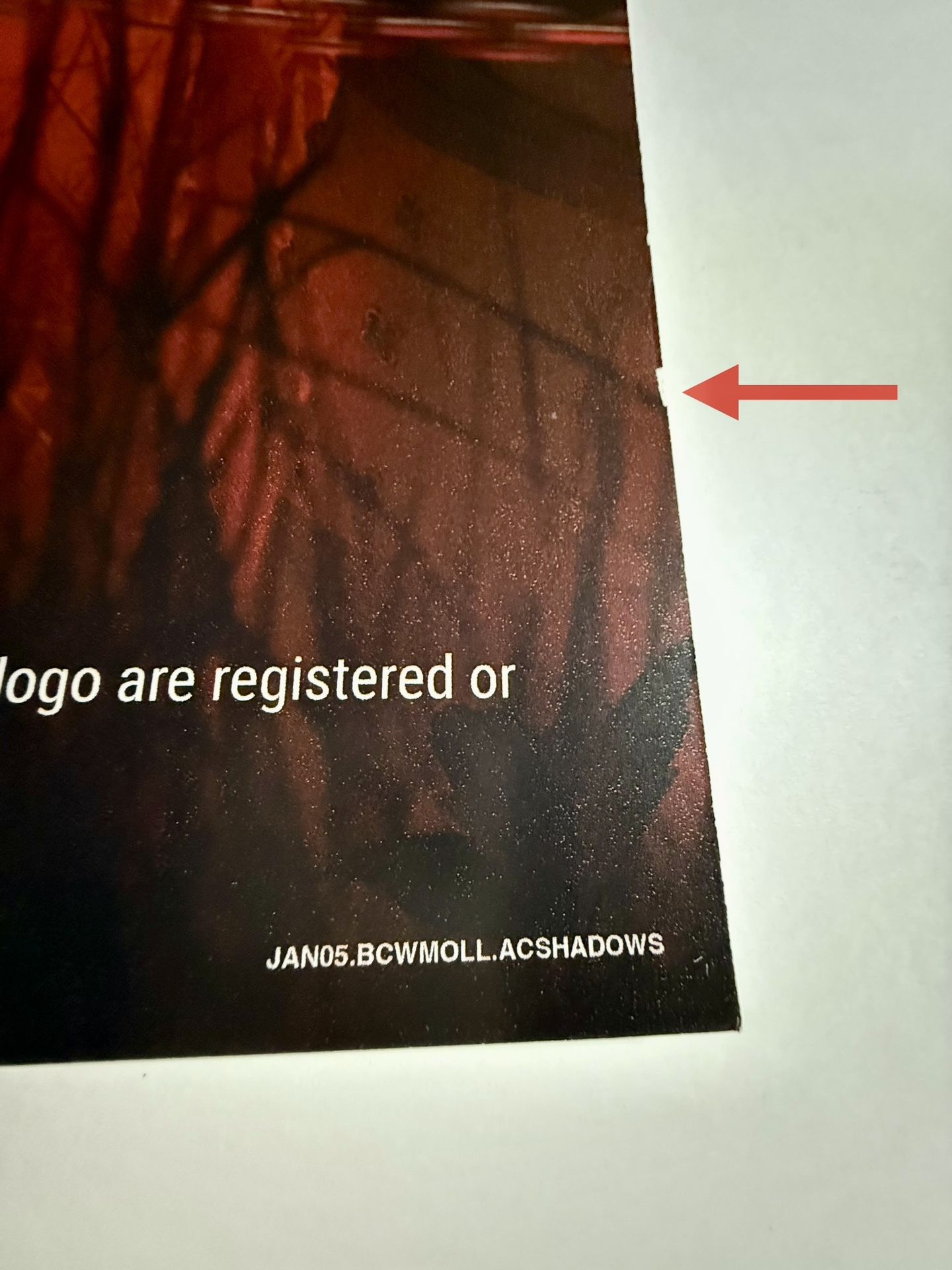 Assassins Creed Shadows GameStop Promo Display Poster 4 Pieces (24x24) 48x48