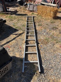 Escalera de 12 pies