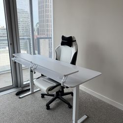 Kreutzer Height Adjustable Standing Desk with Monitor Stand