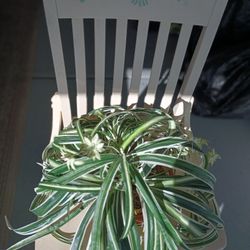 Beautiful Wooden Chair Painted and Stenciled