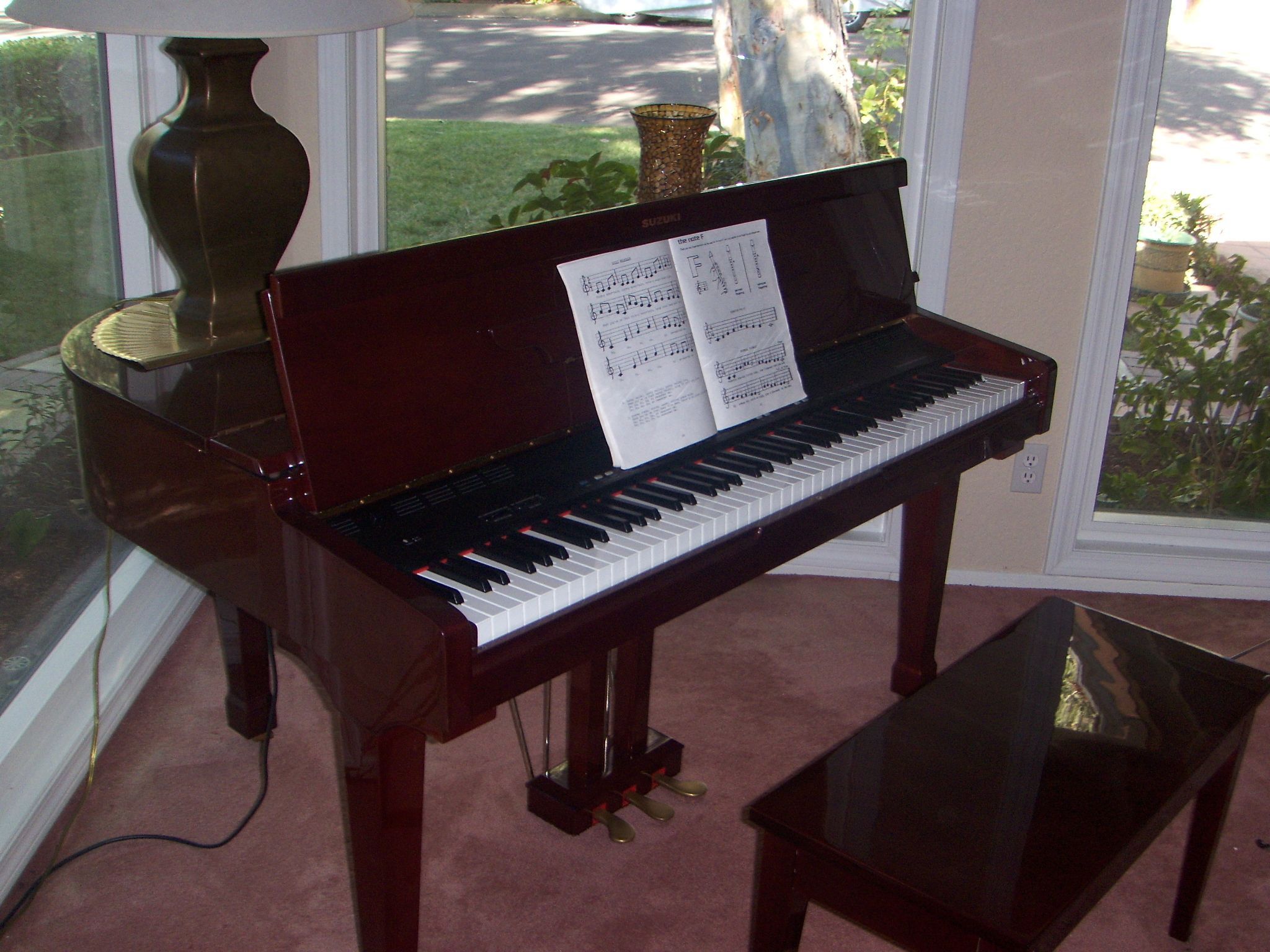 Piano - Suzuki Baby Grand Digital