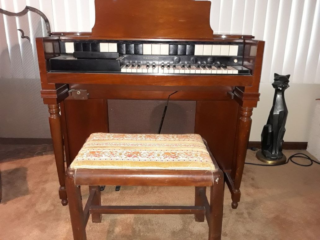 Hammond chord sale organ