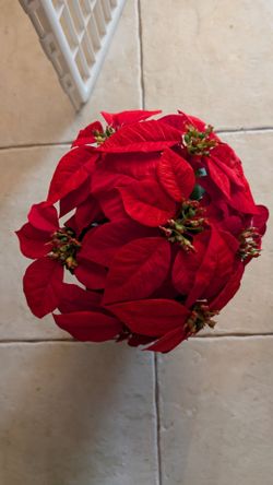 17" Red Velvet Poinsettia Artificial Plant