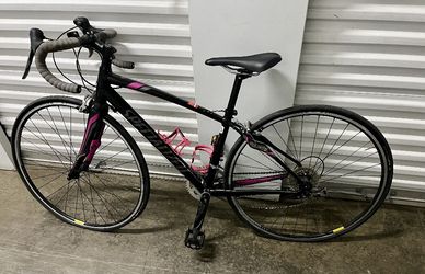 Specialized Endurance Bike