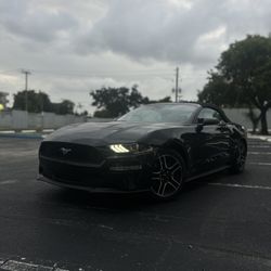 Ford Mustang Eco Premium 2023