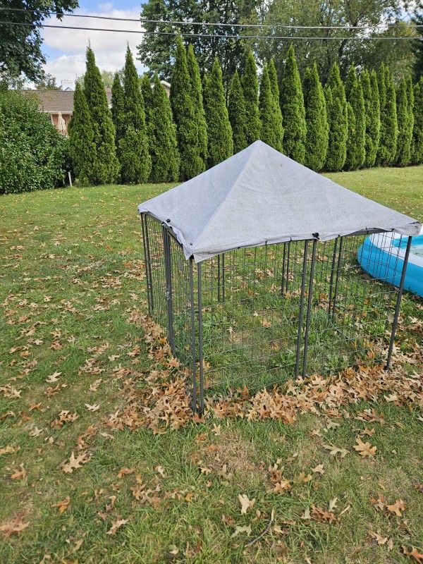 Out Side Dog Kennel