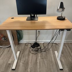 Electric Home Office Standing Desk