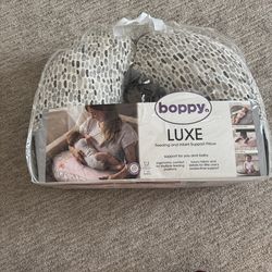 Boppy and my Breastfriend