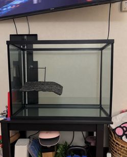 37gal tank