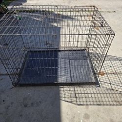Dog Cage