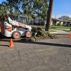 Bobcat Skidsteer 