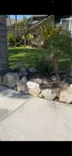 Landscape rocks