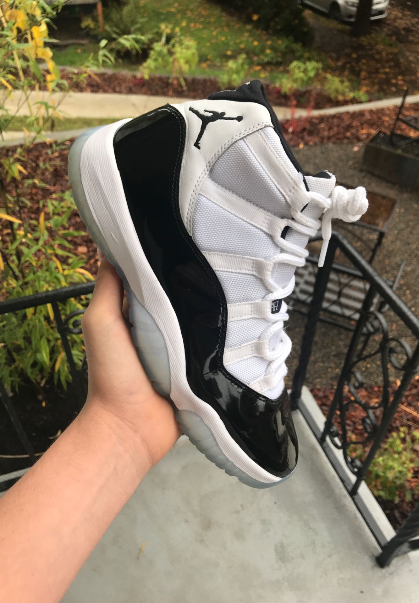 Jordan 11 concord