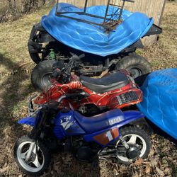 Peewee 50 Dirt Bike & 110cc 4wheeler