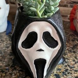 Horror Succulent Pots