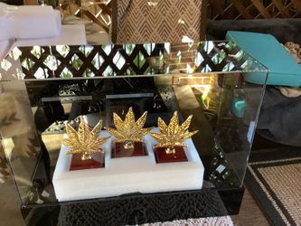 ATHENA Trophy Display case
