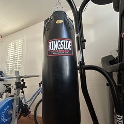 Ringside Everlast Punching Bag & Speed Bag