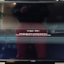 Vizio 24" flat screen TV