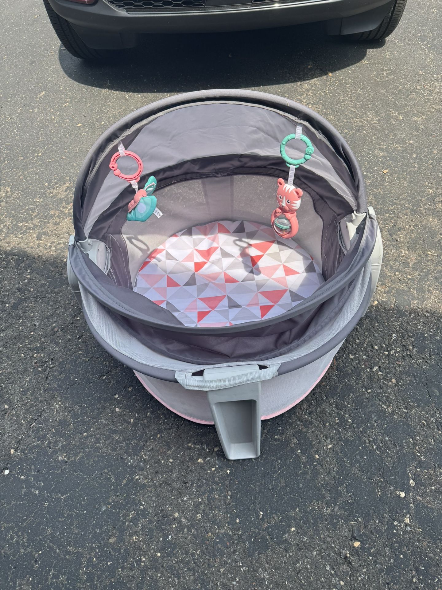 Fisher Price Dome