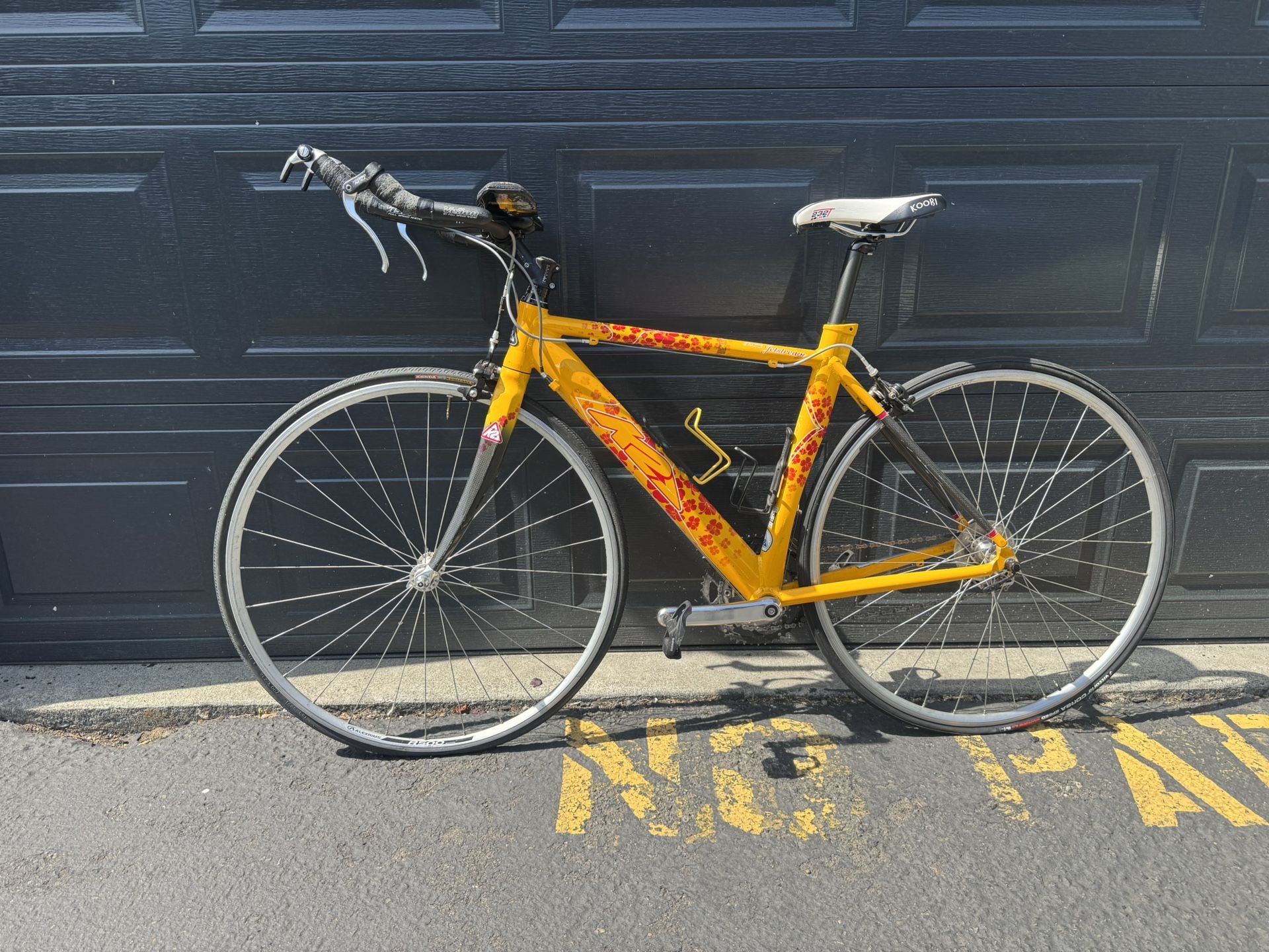 Woman Tri-Bike