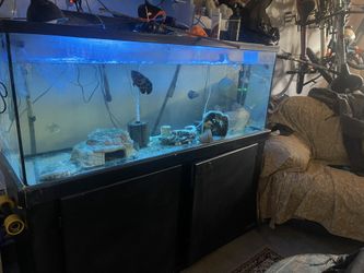200 Gallon Fish Tank