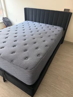 Black storage Bed