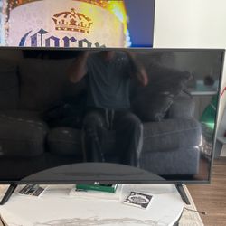 LG TV (48 inches)